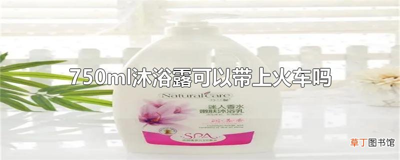 750ml沐浴露可以带上火车吗