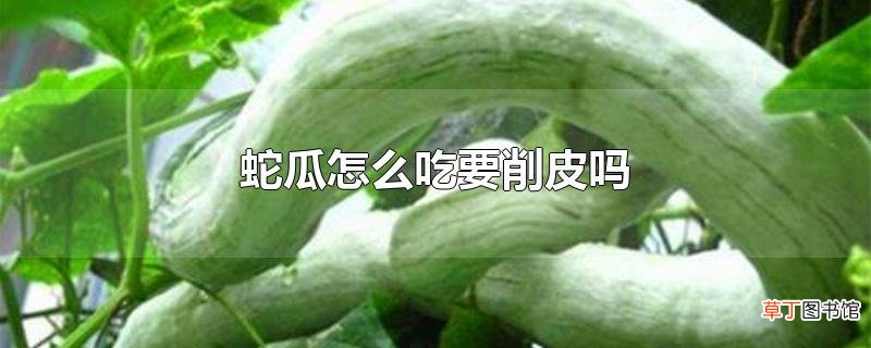 蛇瓜怎么吃要削皮吗