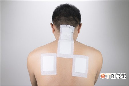 贴三伏贴可以吃鱼吗