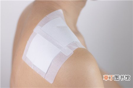 贴三伏贴可以吃鱼吗