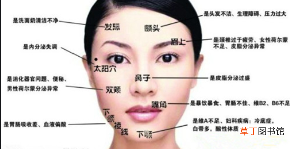 脸上为什么会长痘痘？