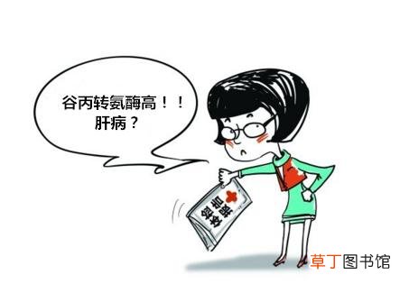 转氨酶高是怎么回事-转氨酶高造成的具体原因