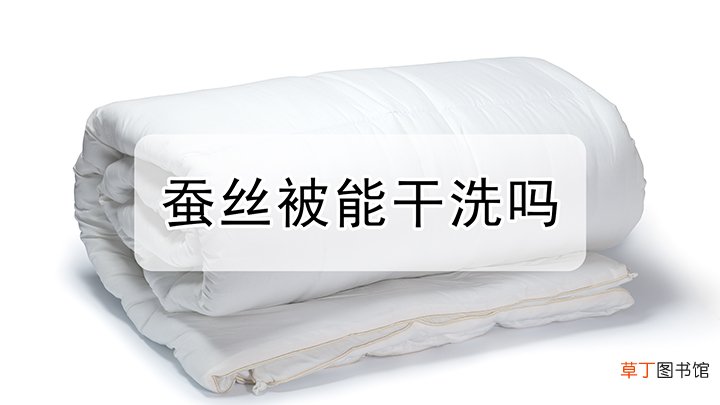 蚕丝被能干洗吗