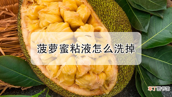 怎么洗掉菠萝蜜粘液