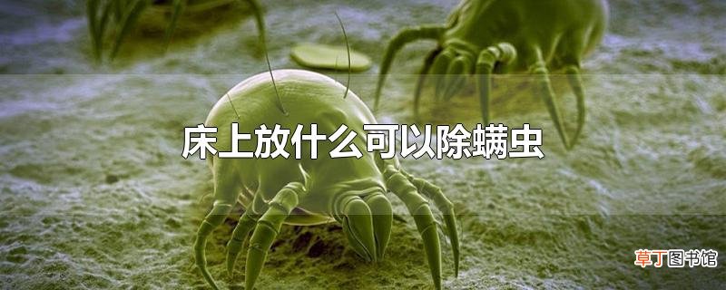 床上放什么可以除螨虫