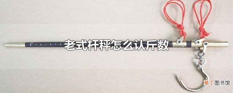 老式杆秤怎么认斤数
