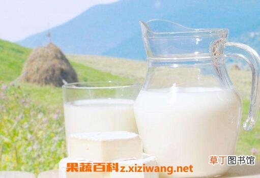 喝牛奶有什么好处和坏处