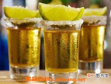 龙舌兰酒怎么喝 龙舌兰酒的喝法技巧
