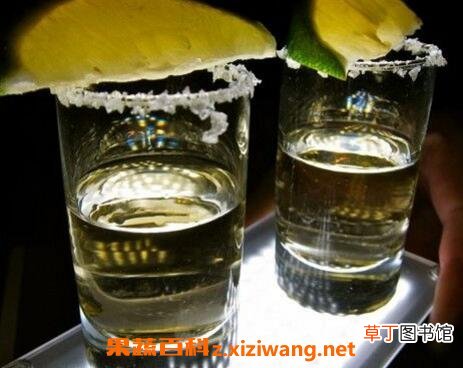 龙舌兰酒怎么喝 龙舌兰酒的喝法技巧