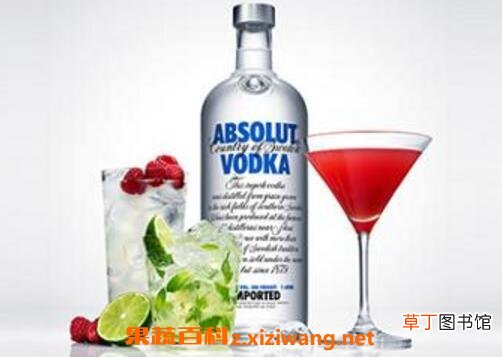 伏特加怎么喝 伏特加的喝法技巧