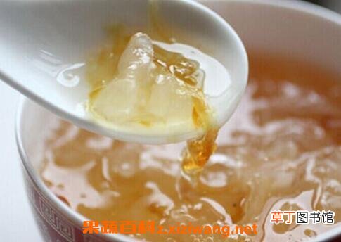燕窝怎么吃最有营养 燕窝的吃法技巧