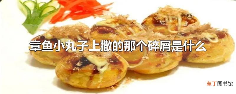 章鱼小丸子上撒的那个碎屑是什么