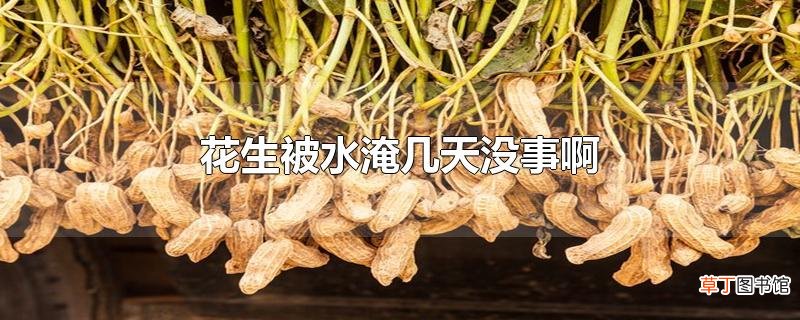 花生被水淹几天没事啊