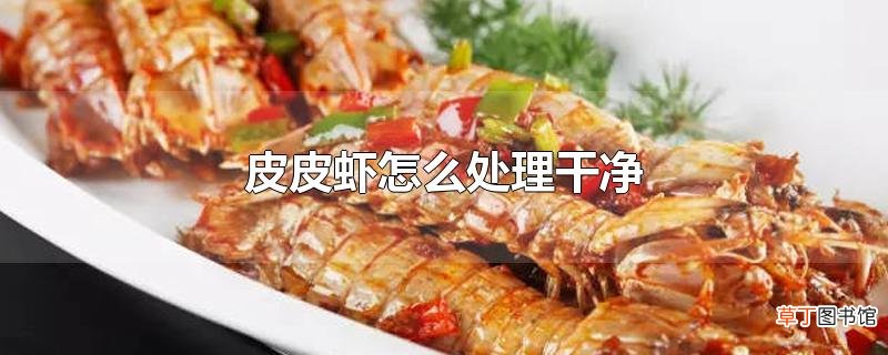 皮皮虾怎么处理干净