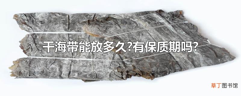 干海带能放多久?有保质期吗?