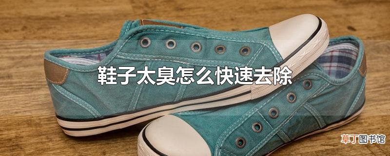 鞋子太臭怎么快速去除