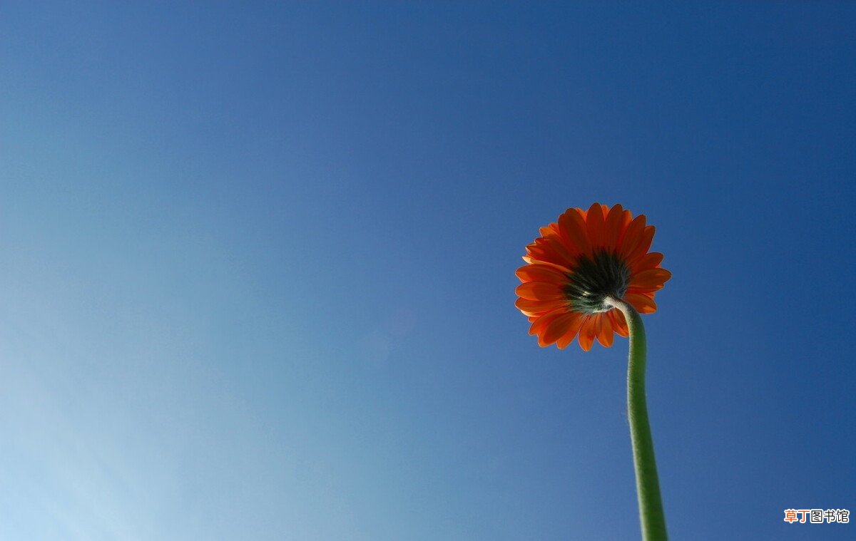 婚姻中没有爱情的表现 没有爱情的婚姻是什么样的