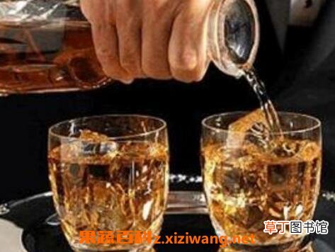 威士忌怎么喝 威士忌的喝法技巧教程