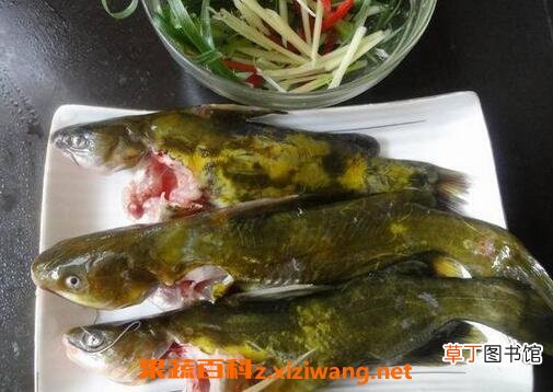 黄骨鱼是什么鱼 吃黄骨鱼的好处有哪些