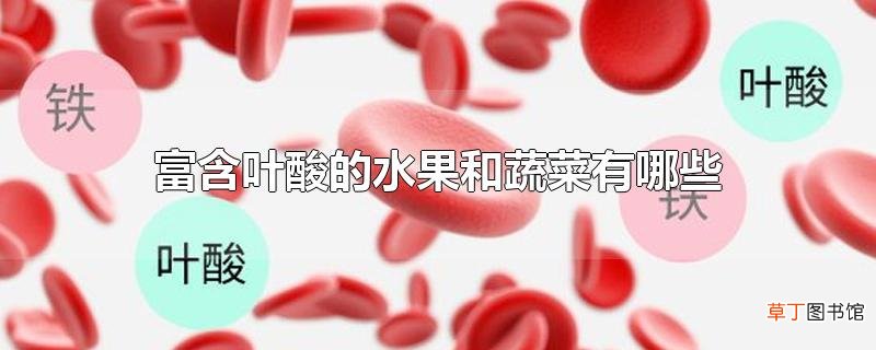 富含叶酸的水果和蔬菜有哪些
