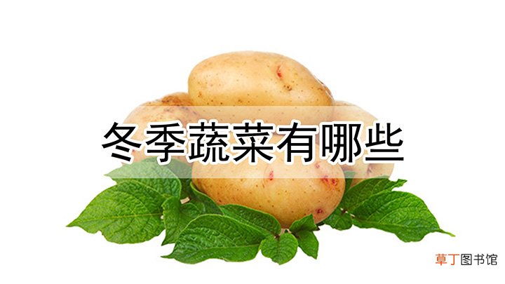 冬季蔬菜有哪些