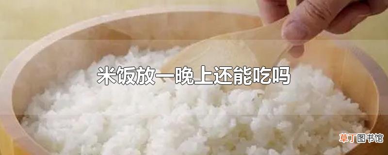 米饭放一晚上还能吃吗
