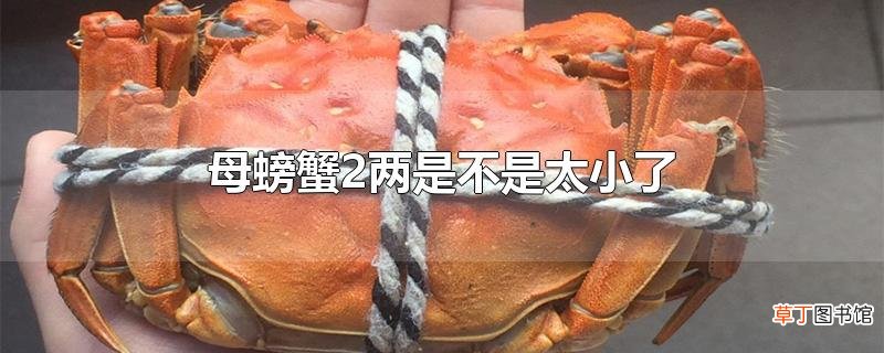 母螃蟹2两是不是太小了