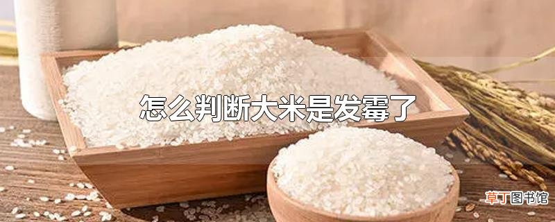 怎么判断大米是发霉了