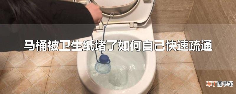 马桶被卫生纸堵了怎么自己快速疏通