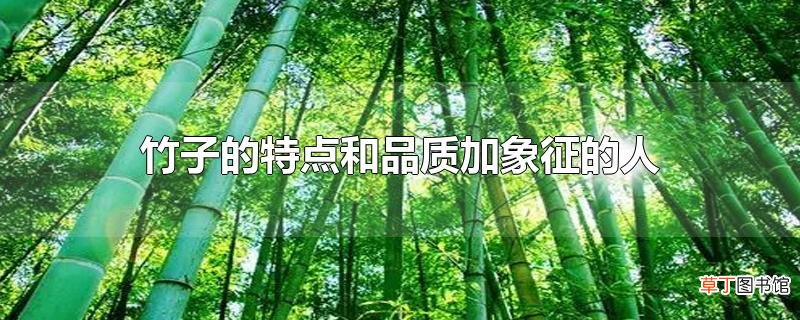 竹子的特点和品质加象征的人
