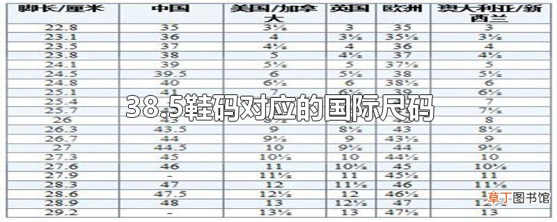 38.5鞋码对应的国际尺码