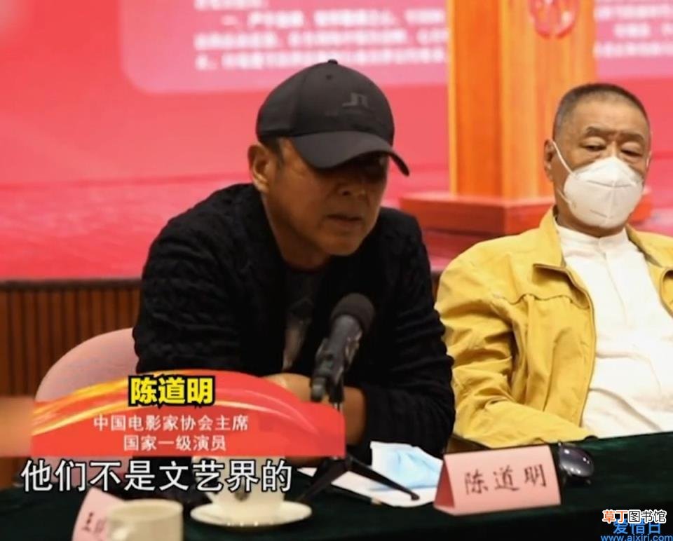 炒作出来的塑料演员 陈道明痛批流量明星
