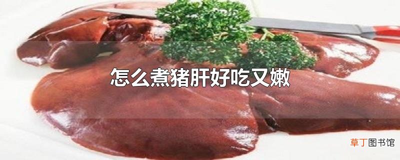 怎么煮猪肝好吃又嫩