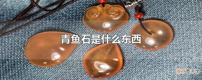 青鱼石是什么东西