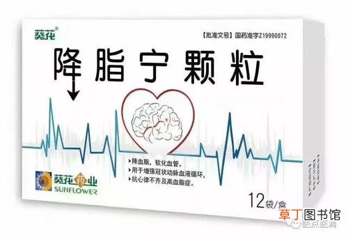 治疗动脉硬化的中成药有哪些-什么中成药治疗动脉硬化