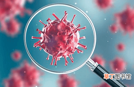 新型冠状病毒腹泻症状是怎样的-新型冠状病毒腹泻症状具体表现