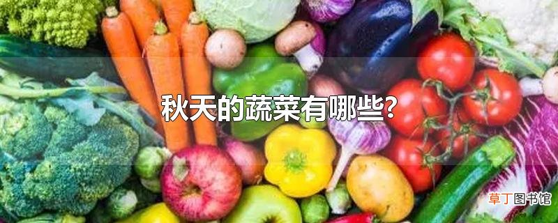 秋天的蔬菜有哪些?