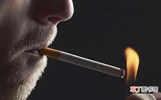 饭后是保健养生的好时机 饭后不能做的事