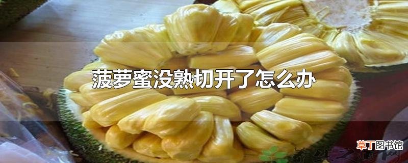 菠萝蜜没熟切开了怎么办