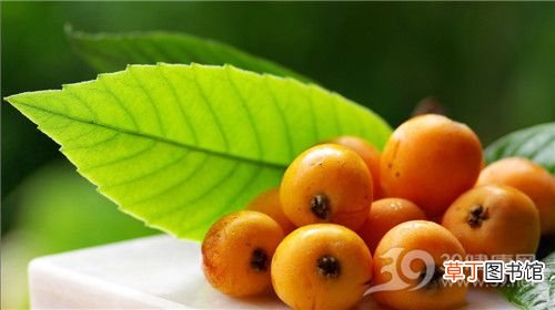 这几种水果可帮助治疗扁桃体发炎