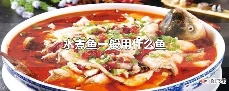 水煮鱼一般用什么鱼