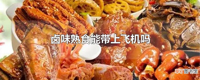 卤味熟食能带上飞机吗