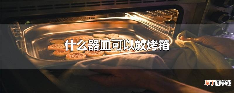 什么器皿可以放烤箱