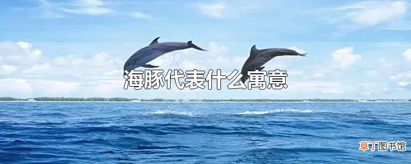 海豚代表什么寓意