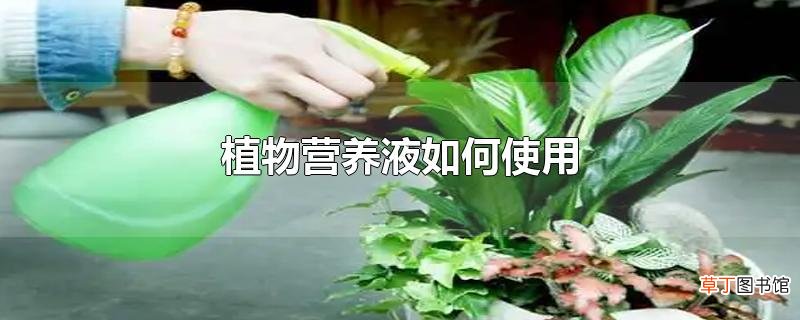 植物营养液怎么使用