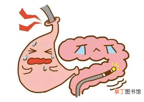 胃肠感冒的症状-胃肠感冒的症状表现吃什么药好