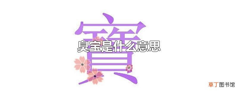 臭宝是什么意思
