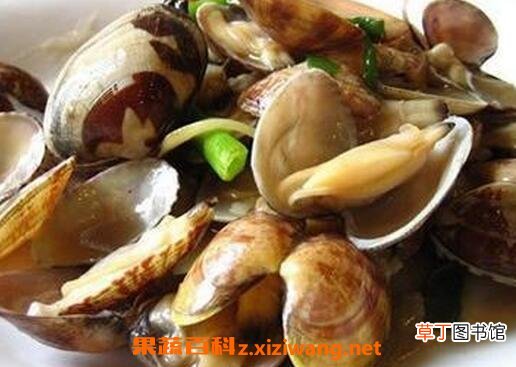 文蛤怎么清洗 文蛤不能和什么一起吃