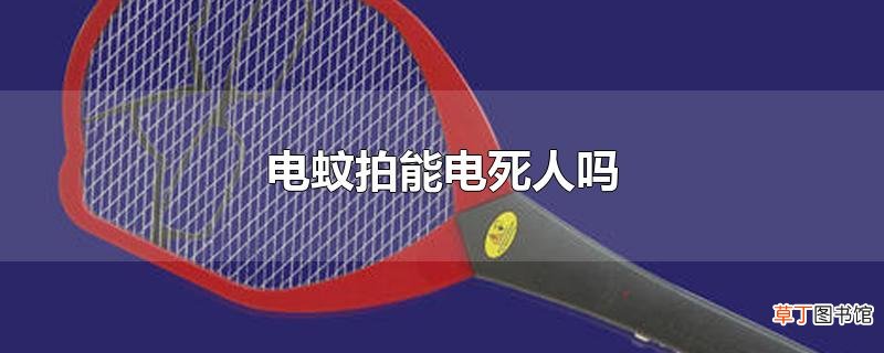 电蚊拍能电死人吗