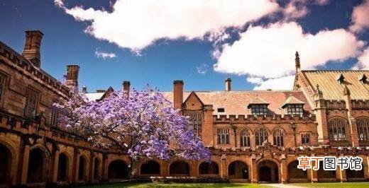 怀卡托大学申请案例,,媒体专业